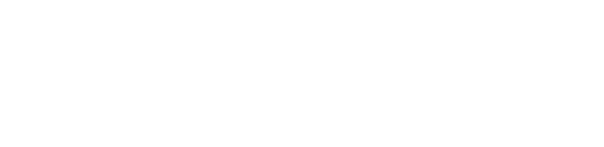 Orca IT Solutions
